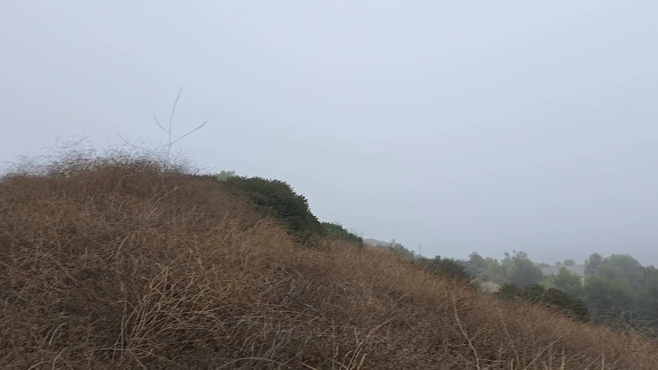 Rim Crest Trail - Hiking Near Me