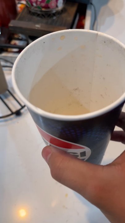 Burger Shack - I was drinking my soda and i took off the lid and i seen all of this black stuff. This is disgusting. - Burgers Near Me - Lemoore, California
