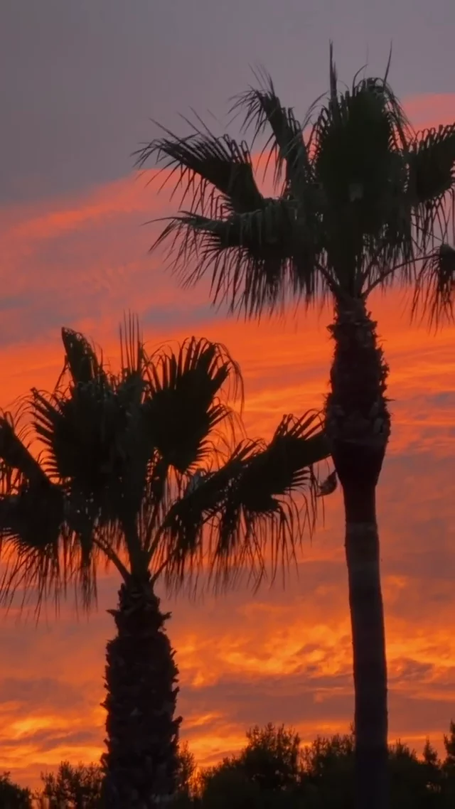 Video postcard from Richard
