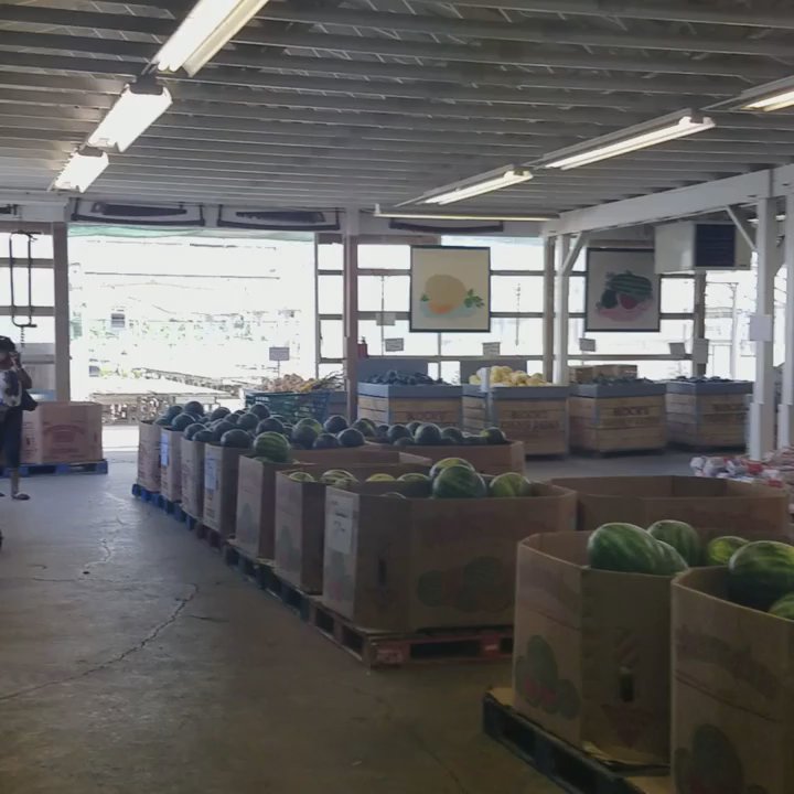 Block's Stand & Greenhouse - Farmers Market Near Me - Romulus, Michigan