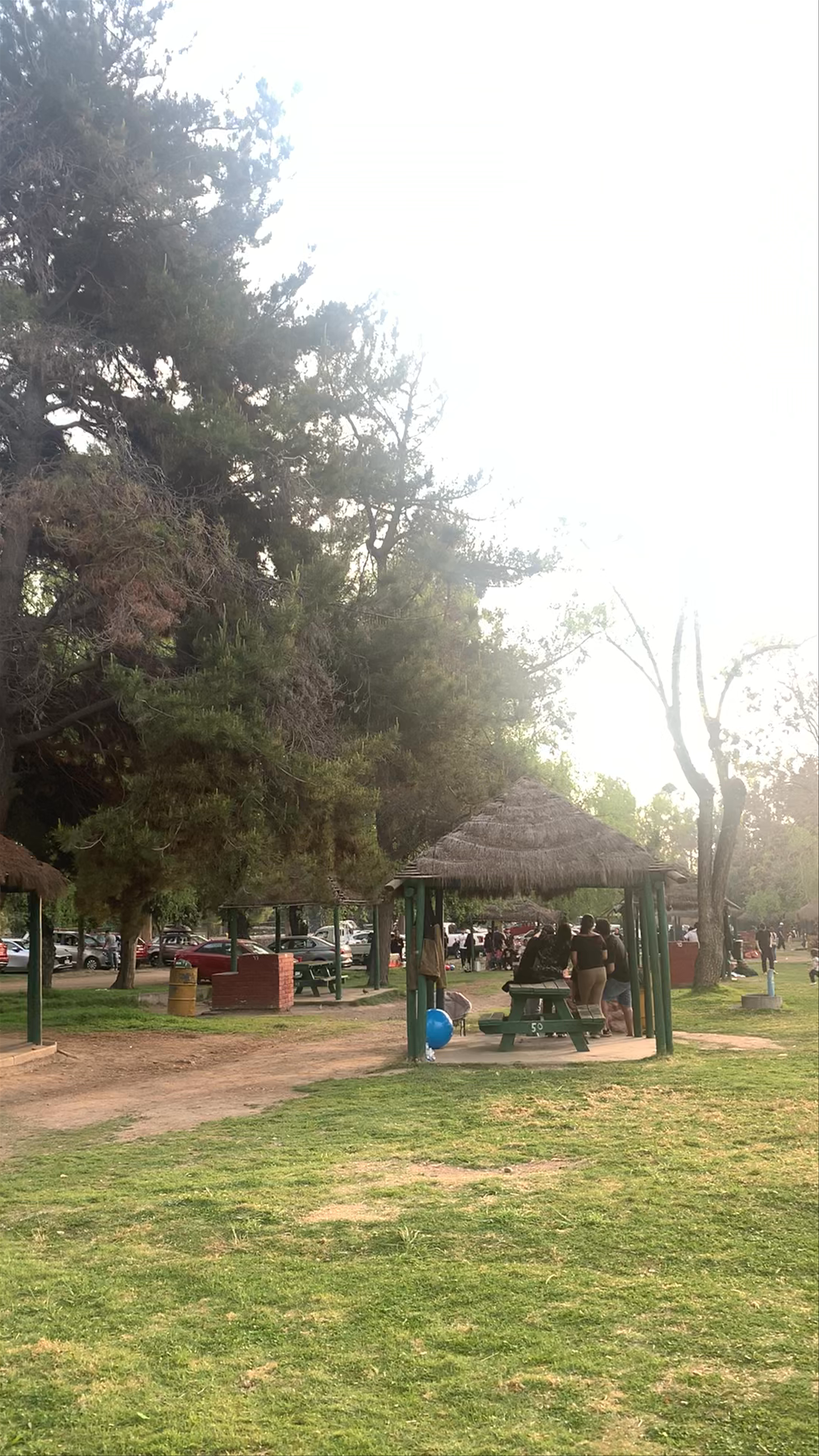 Parque Padre Hurtado - Francisco Bilbao