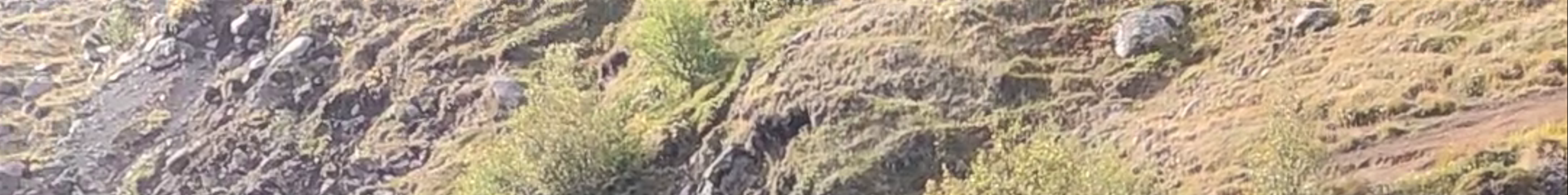 Tours & experiences in Egilsstaðir