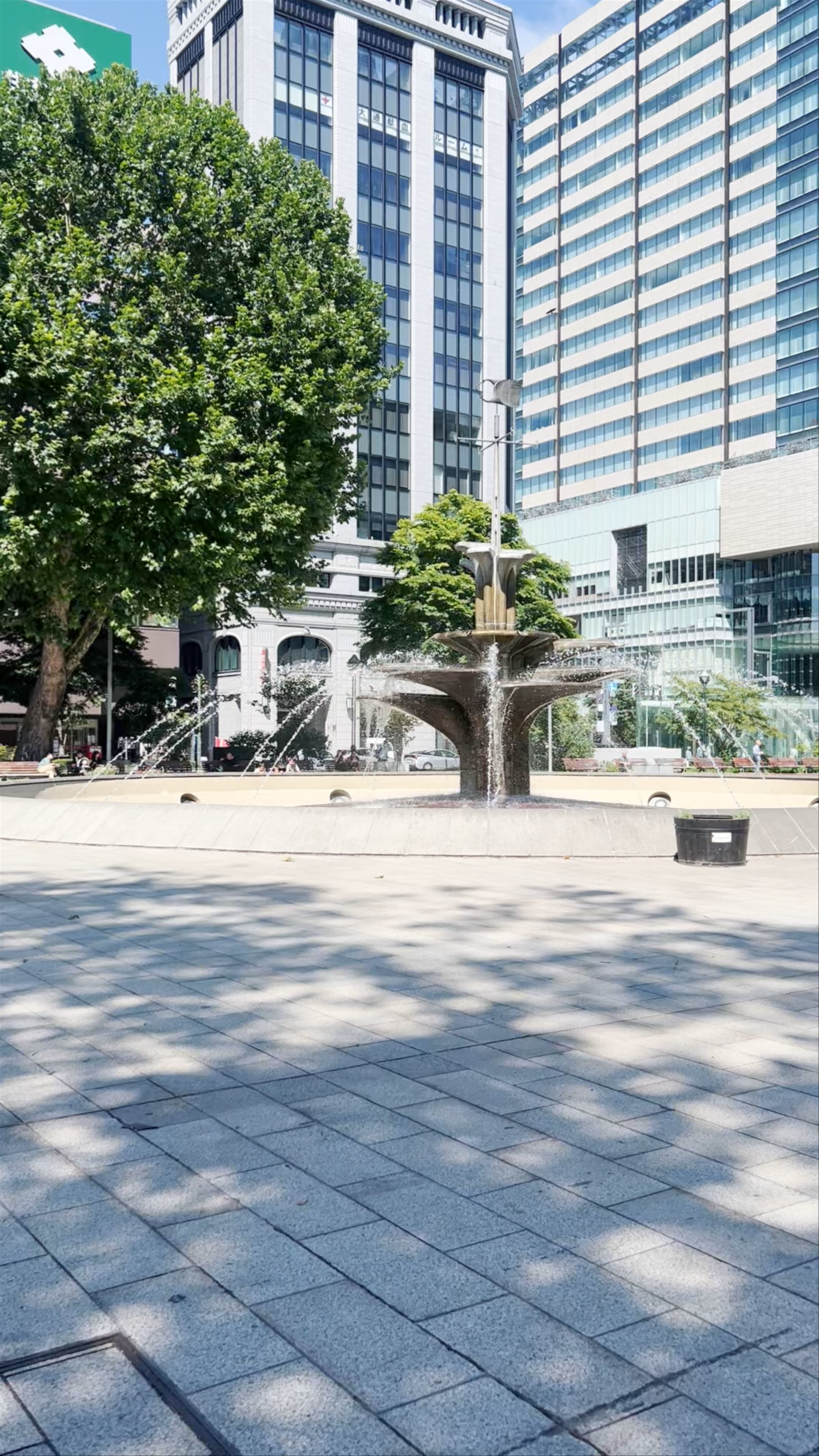 Sunlit Serenity at Odori Park, Sapporo