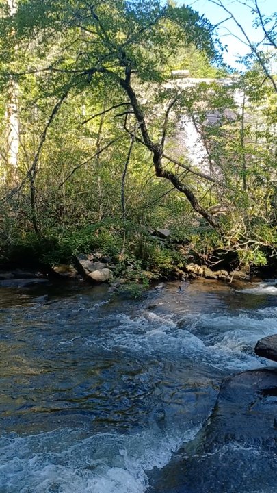 DuPont State Forest - High Falls - Hiking Near Me - Cedar Mountain, North Carolina
