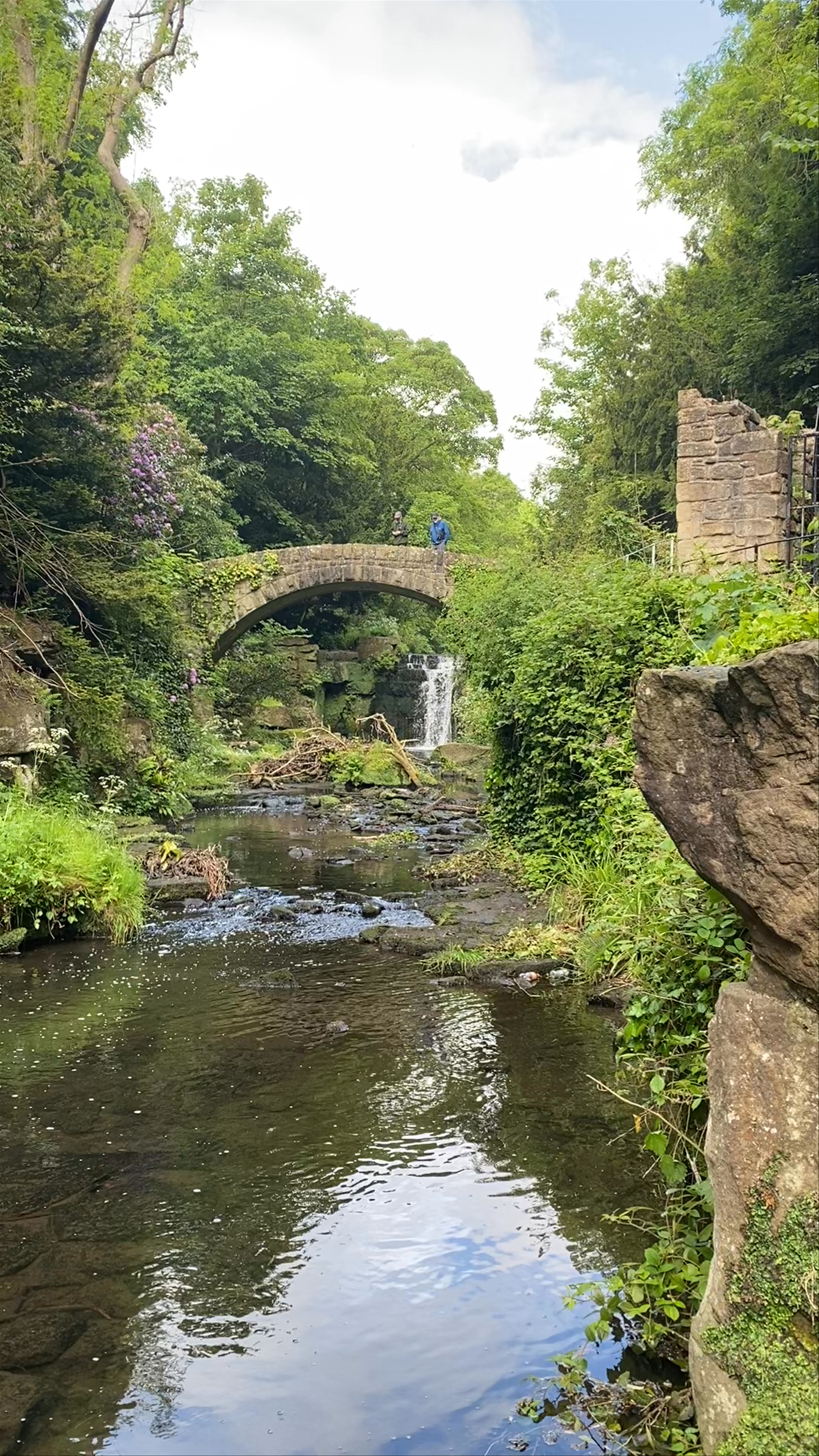 Jesmond Dene: Serene Nature Escape in Newcastle upon Tyne