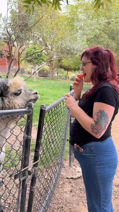 Canzelle Alpacas - Farms Near Me - Carpinteria, California
