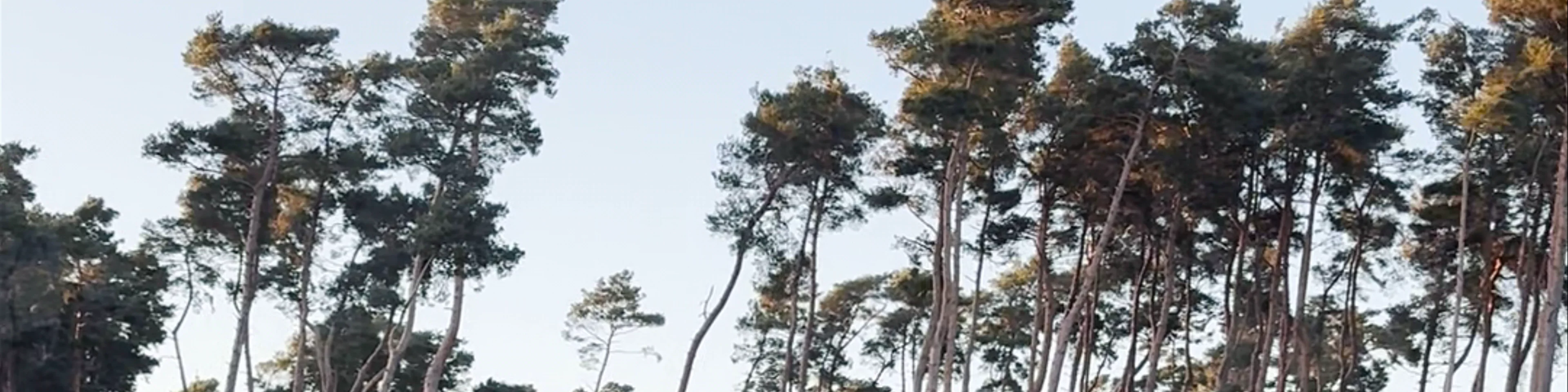 Woburn Forest Lake