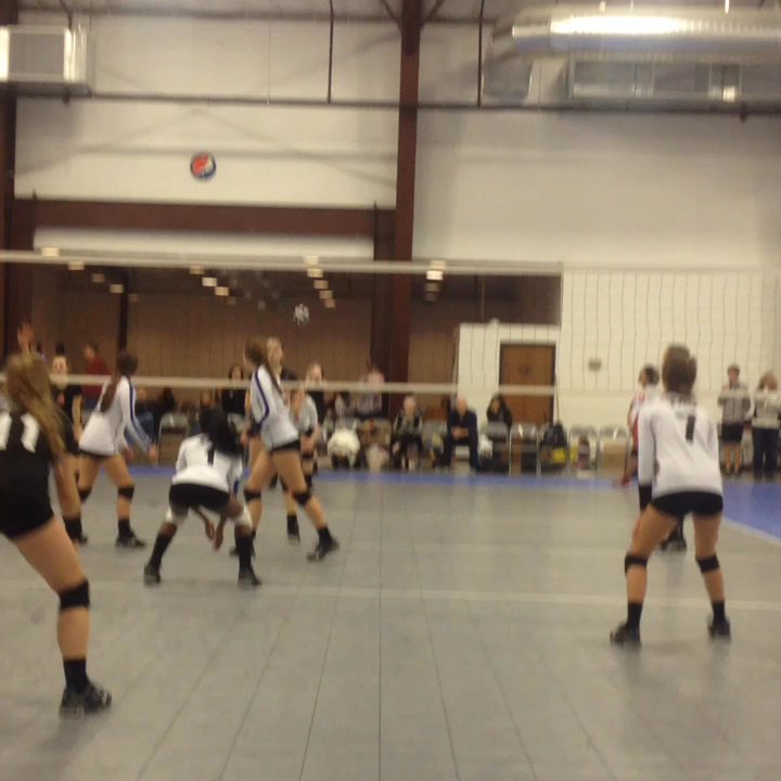 Ace Volleyball - Sports Clubs Near Me - Arlington, Texas