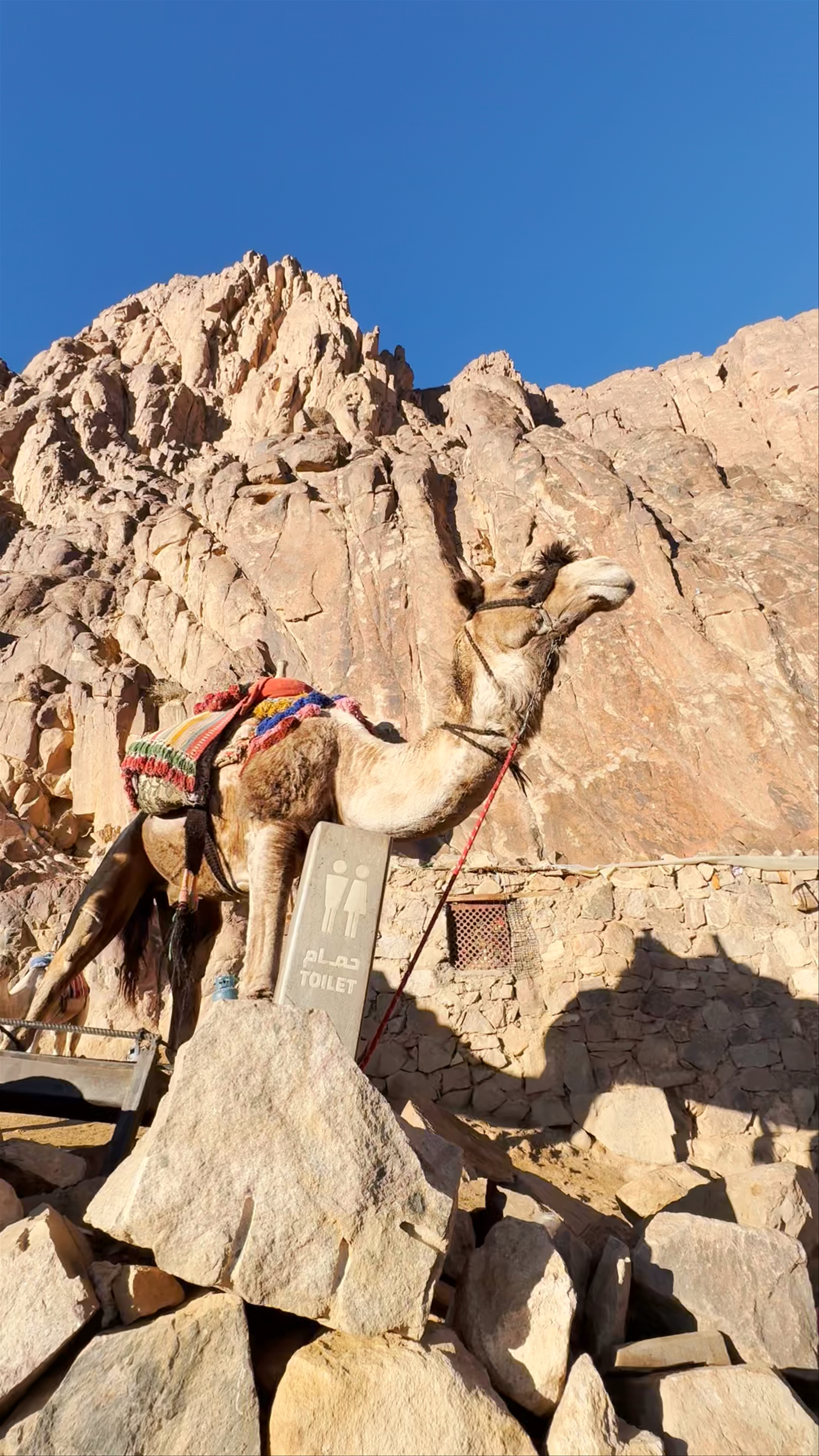 First break jabel mousa