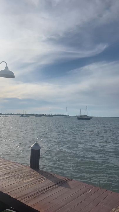 Sharkeys - American Near Me - Key Largo, Florida