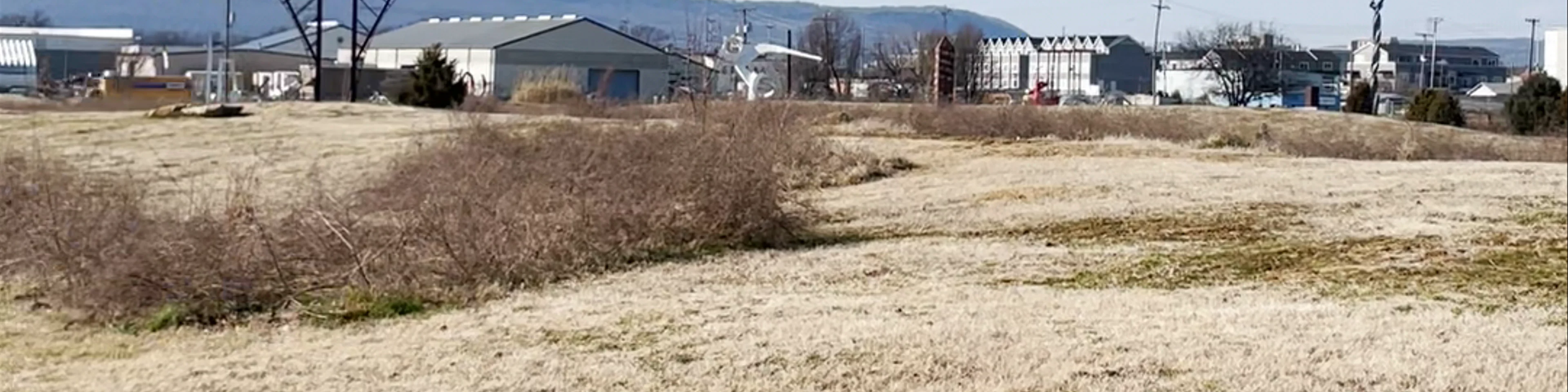 Sculpture Fields at Montague Park