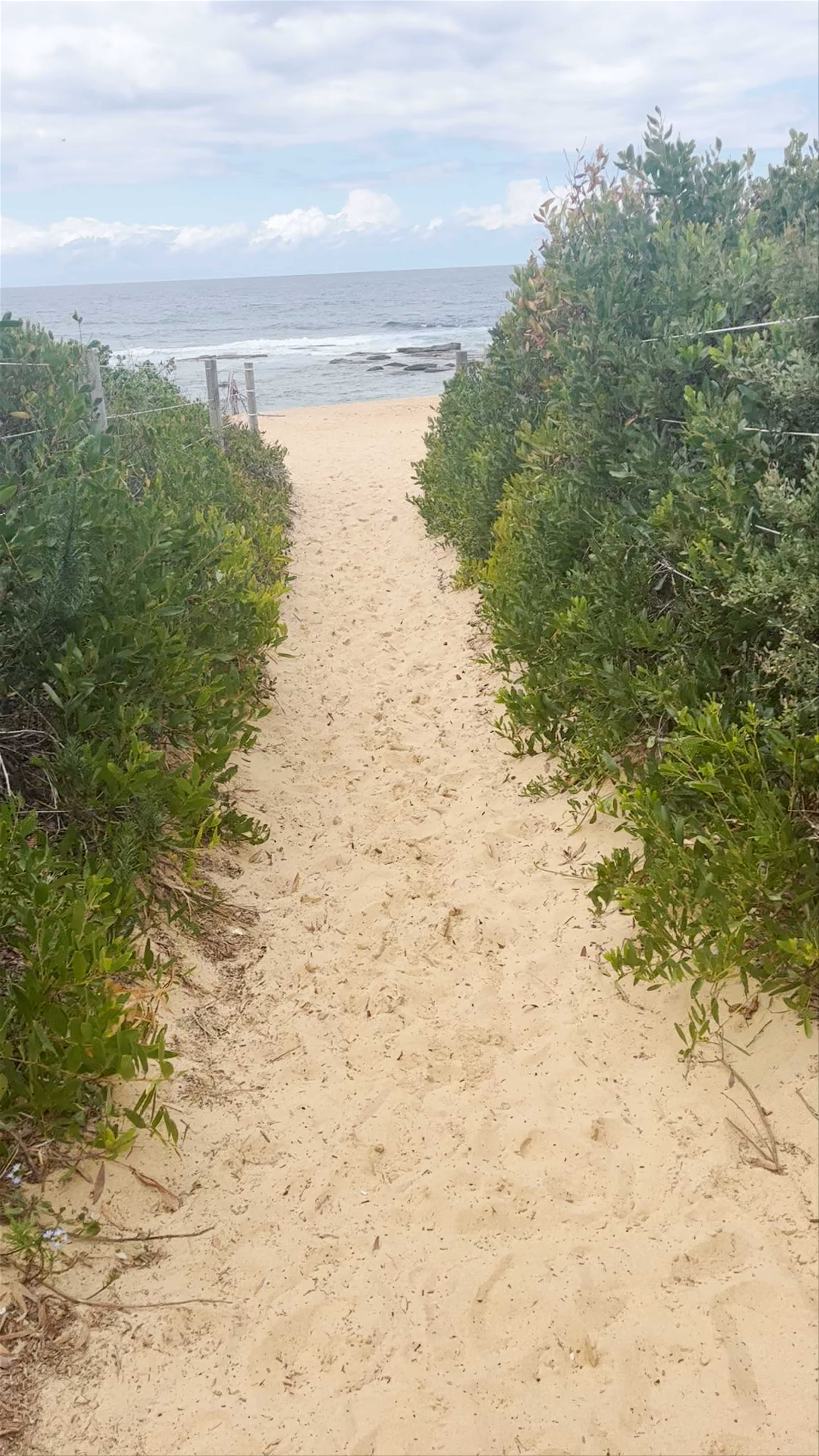Spoon Bay Road Reserve