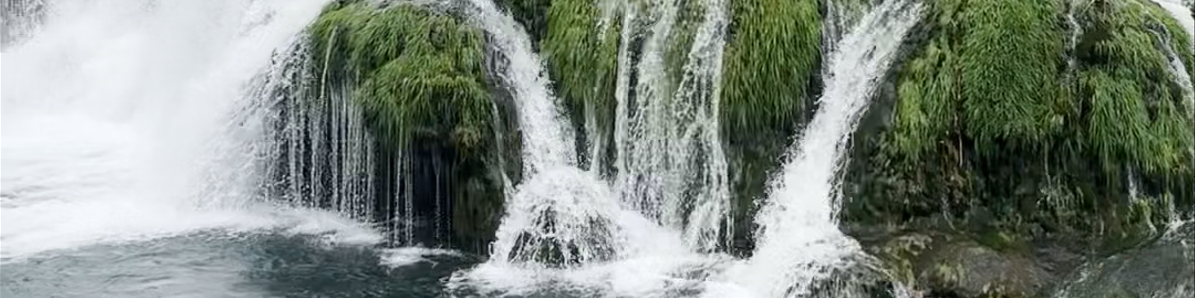 Vitina