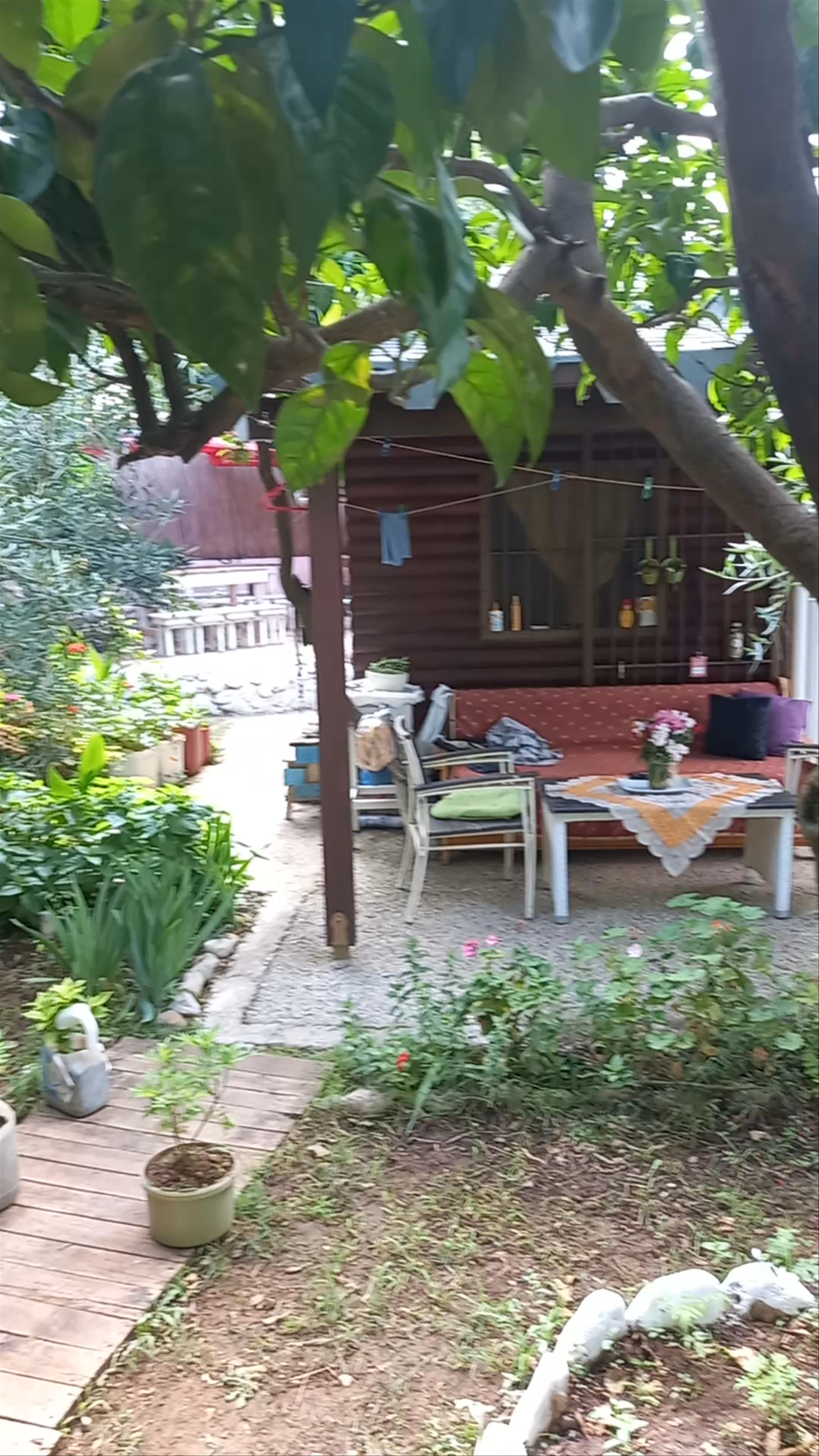 The Sea Turtle Camping Dhermi