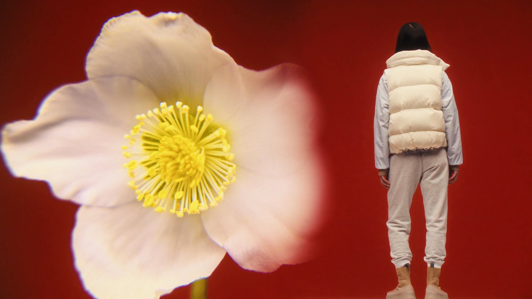 Canada Goose Lunar New Year slide thumbnail