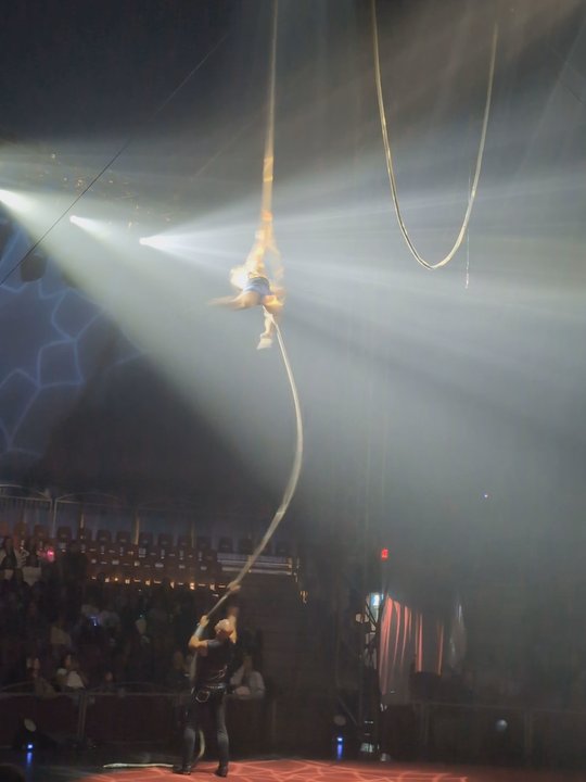 Circus Vargas - Performing Arts Near Me - Lakewood, California