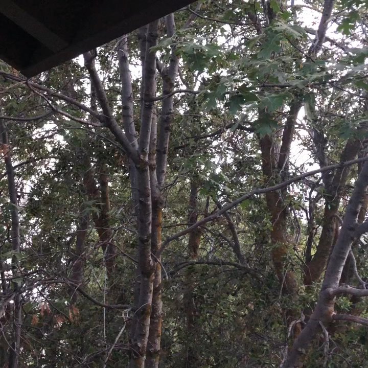 Video thumbnail 16 more videos