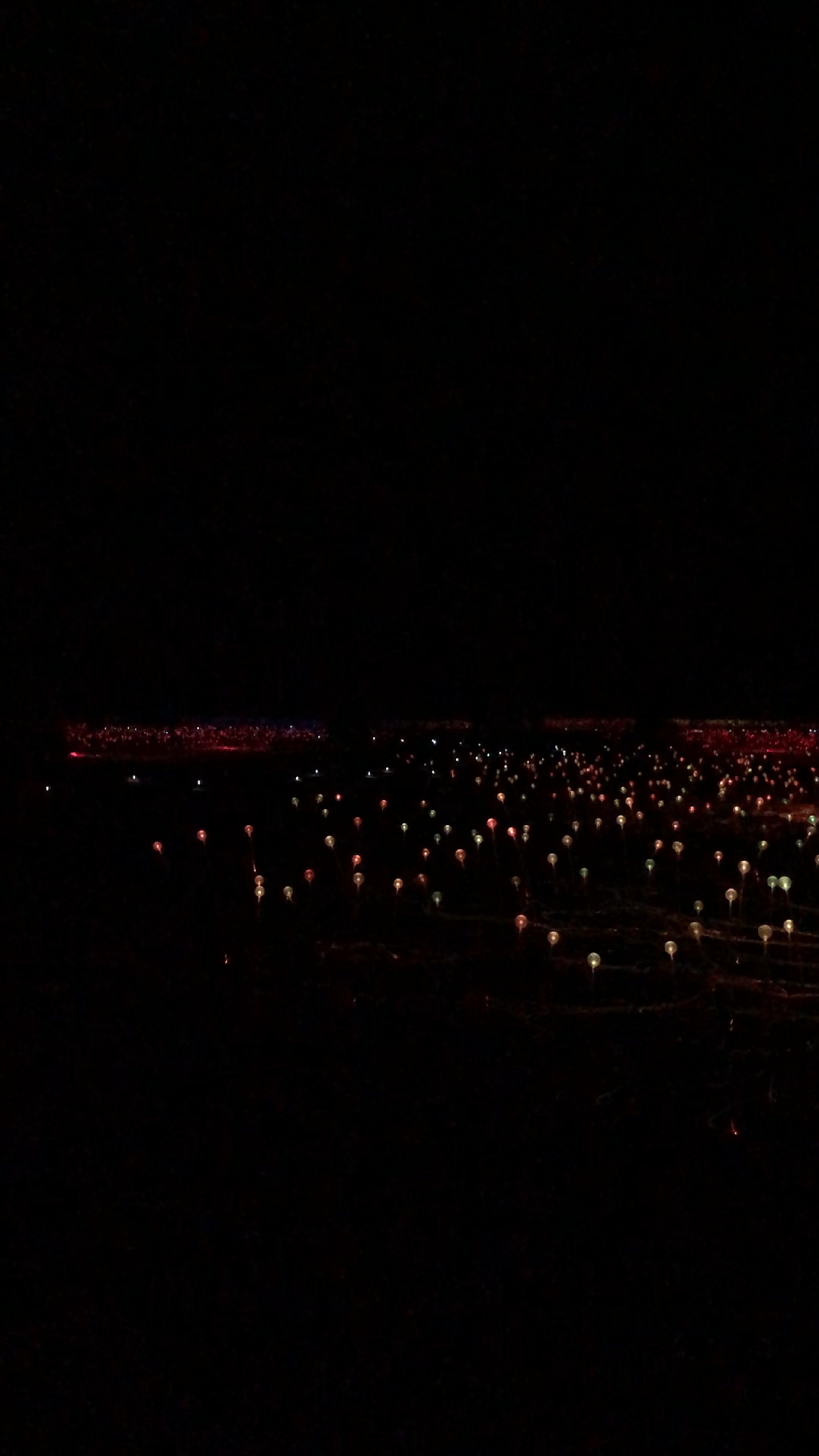 Field of Light Uluru