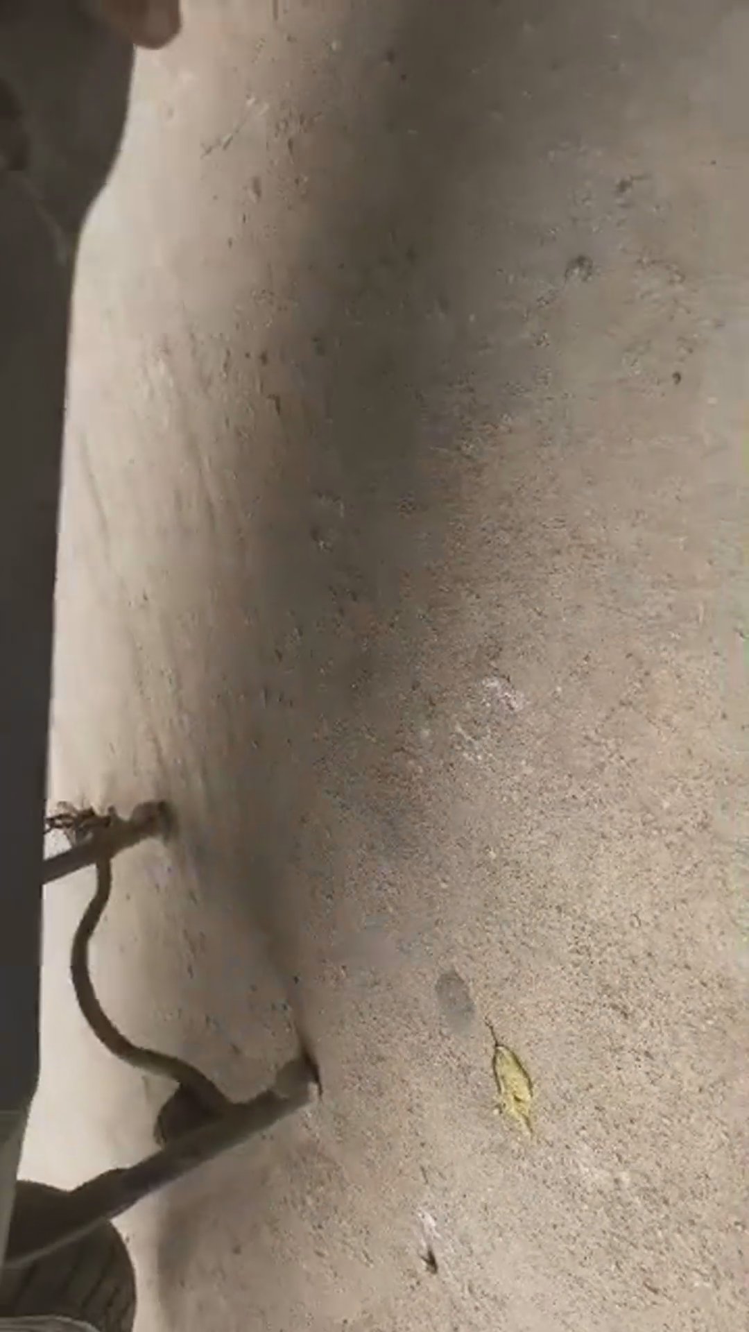 Walk-around video thumbnail