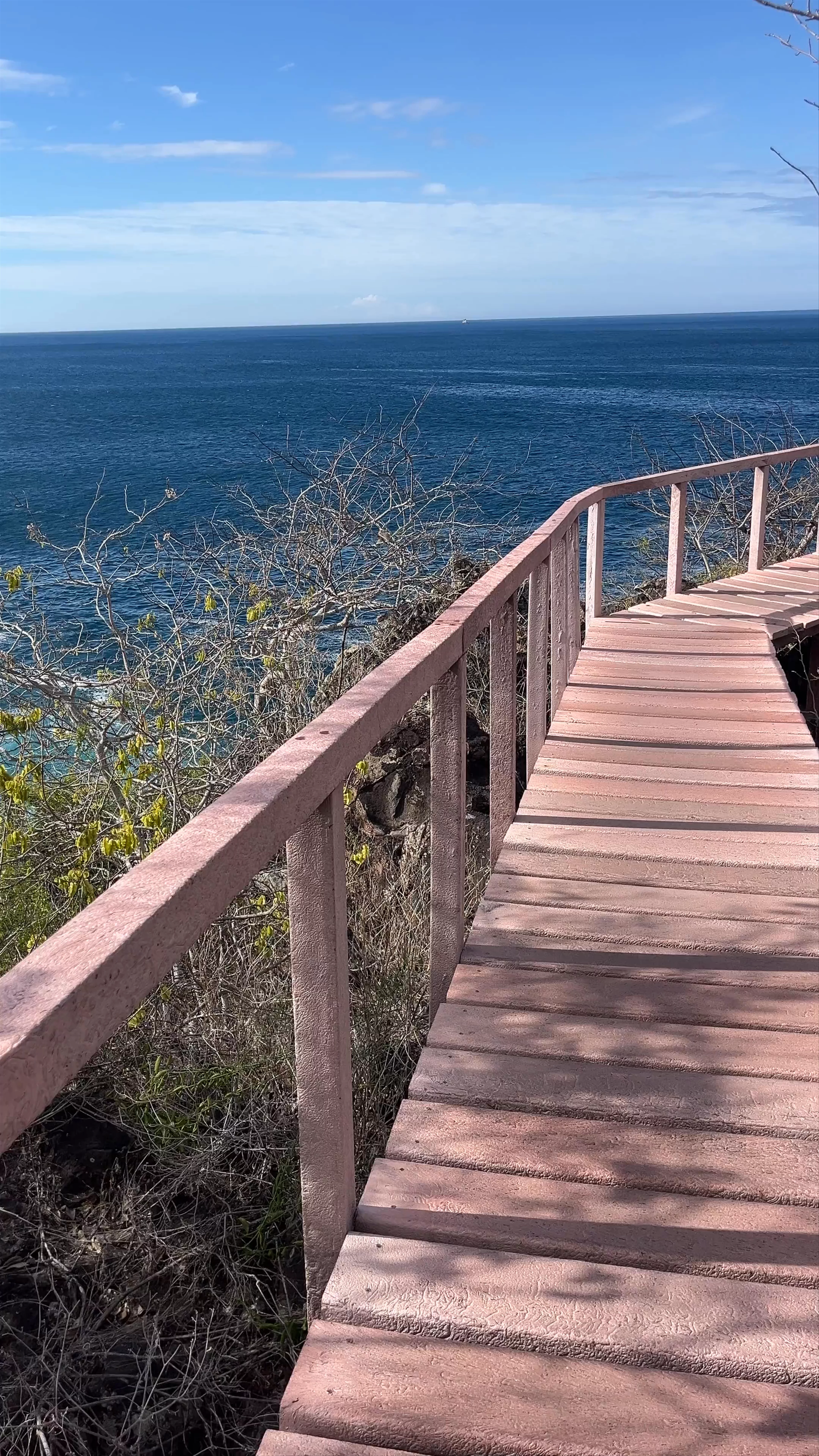 Mirador Cerro Tijeretas