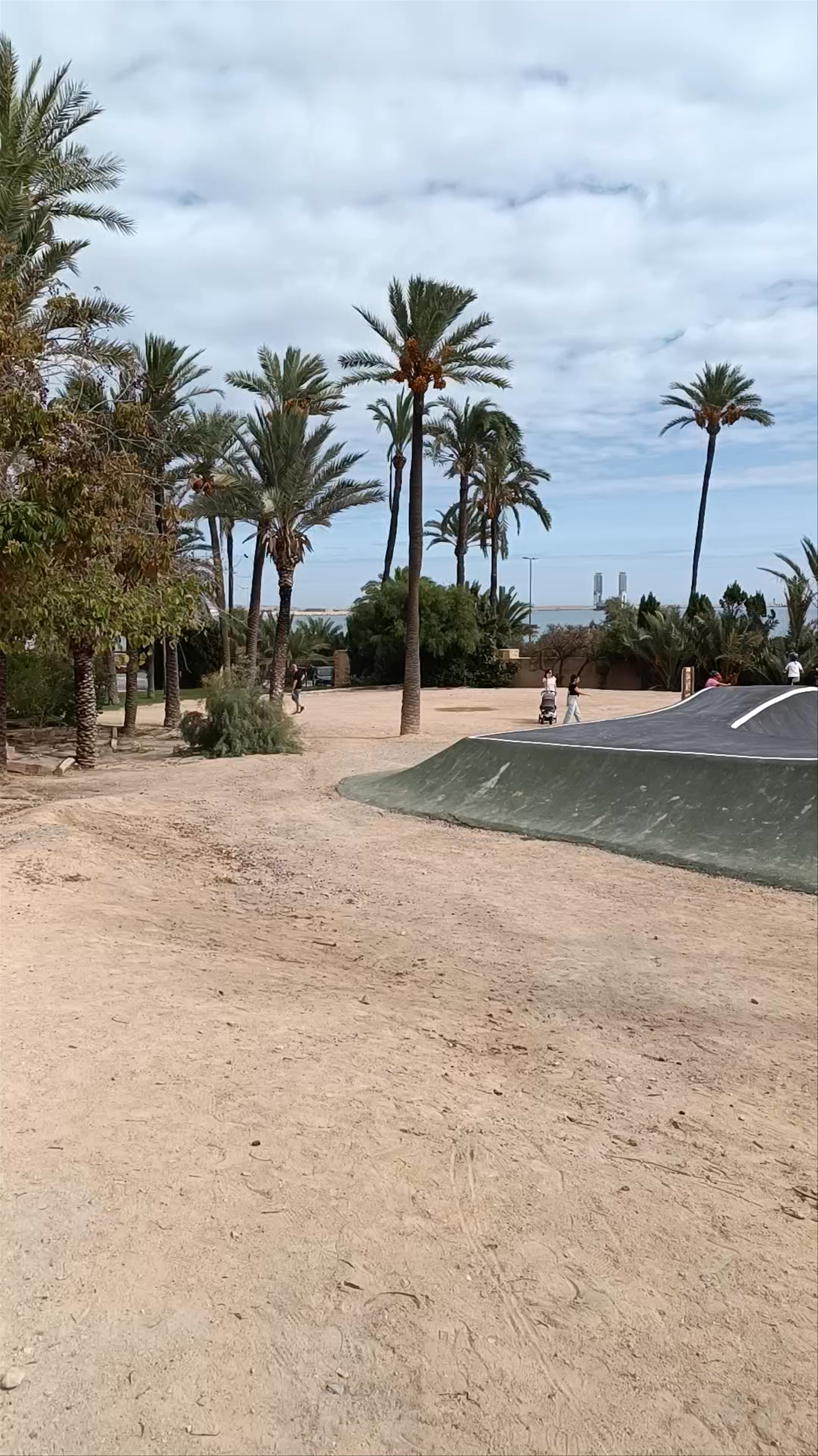 Parque El Palmeral