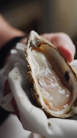 Oyster Opening