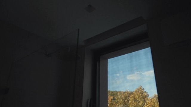 View from an apartment of a garden in Autumn