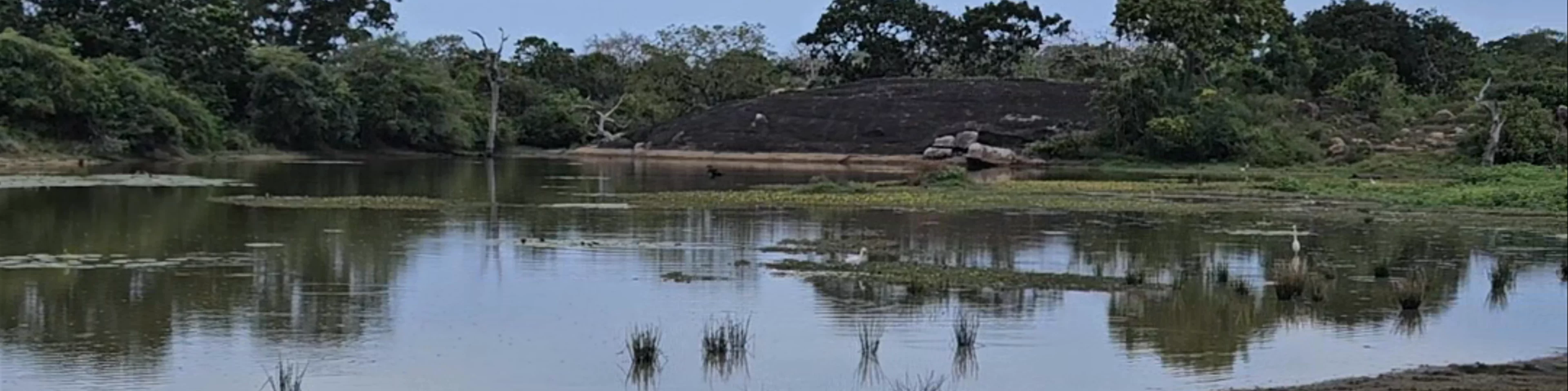 Yala National Park Sri Lanka