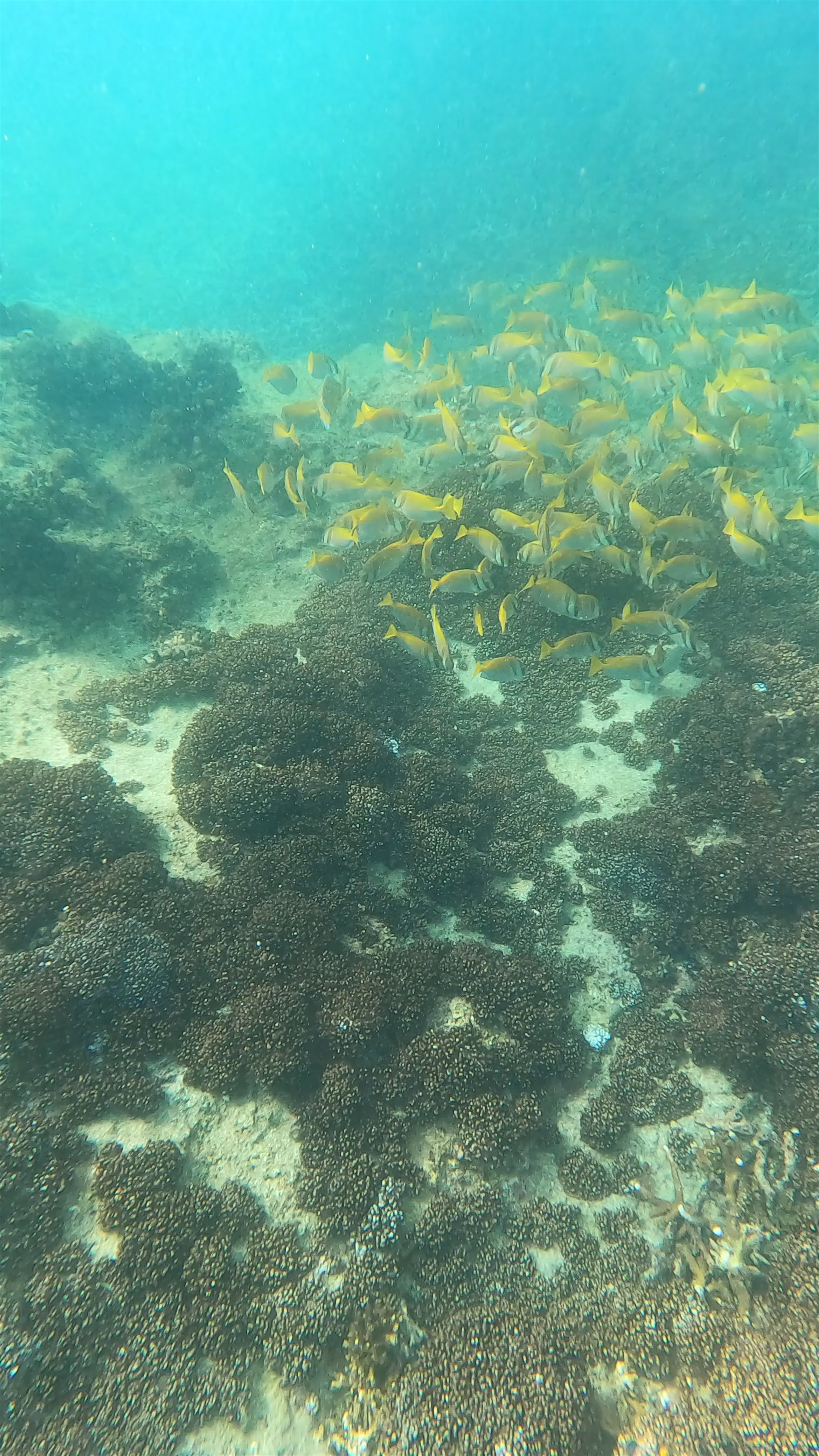 Hin Wong Diving Spot