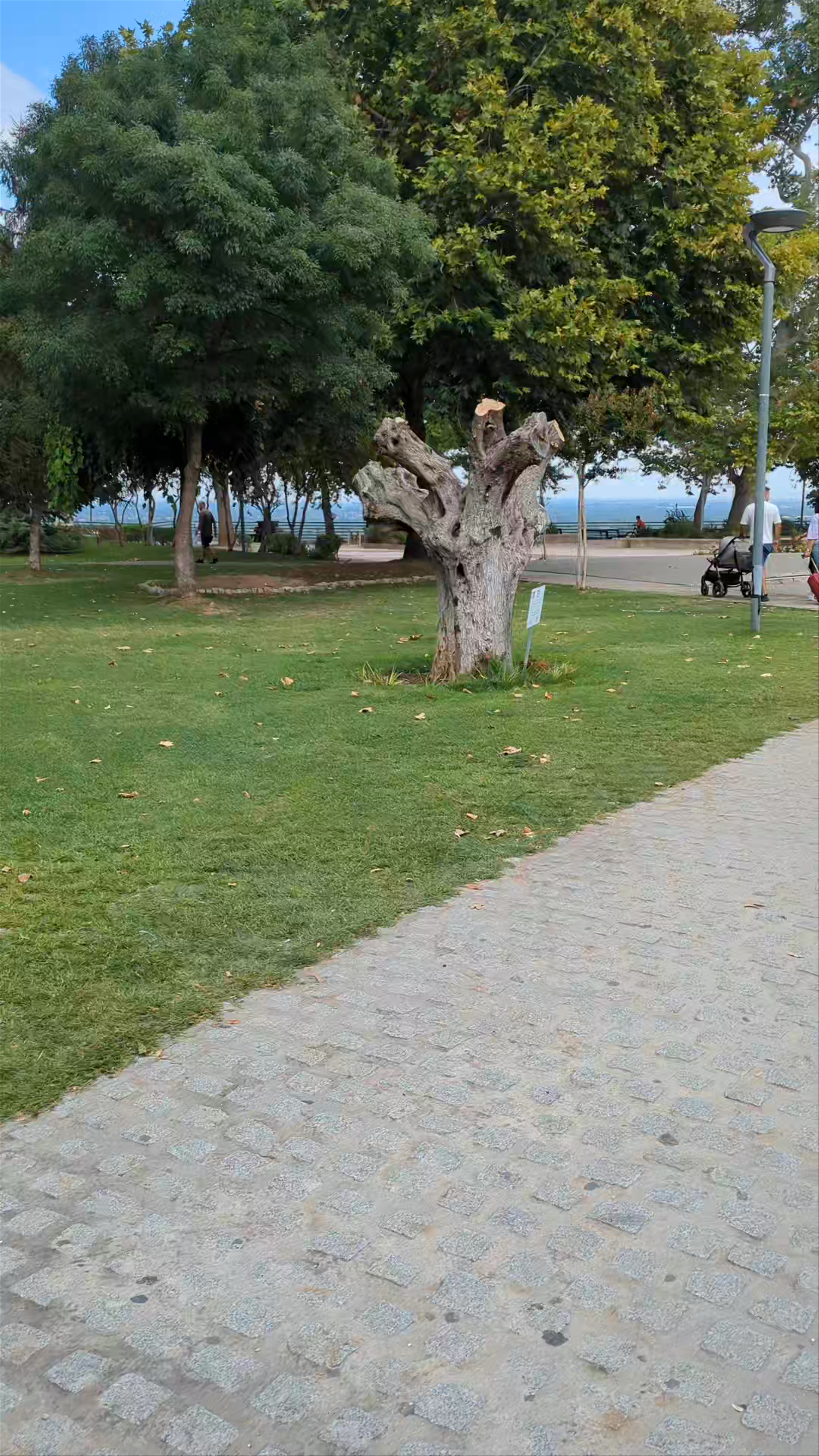 Elia Park