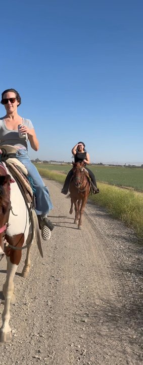 Cowboy Trail Rides - Horseback Riding Near Me - Tracy, California