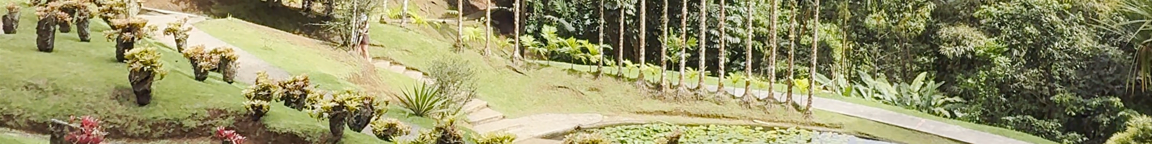 Tours & experiences in Martinique