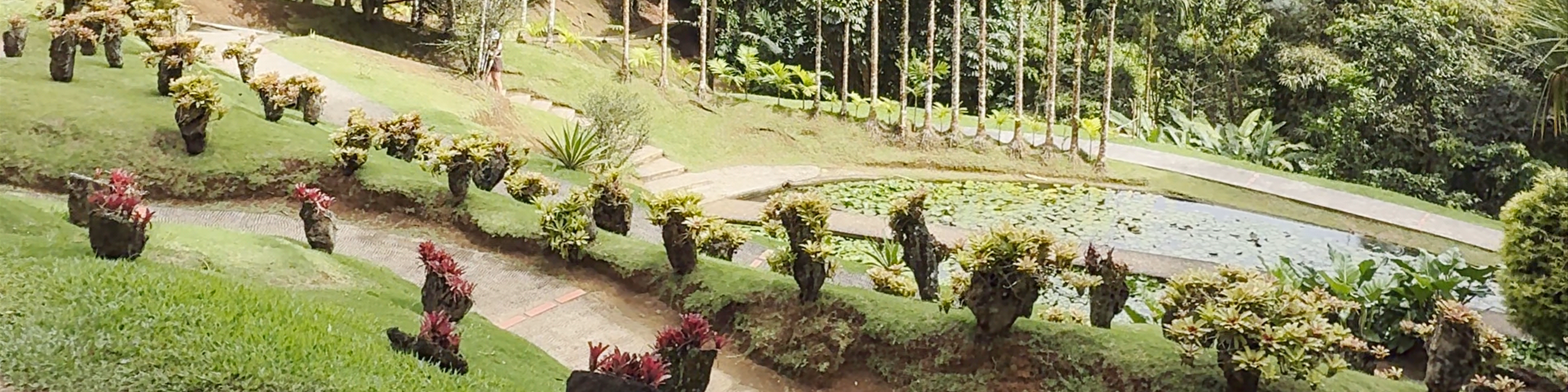 Martinique