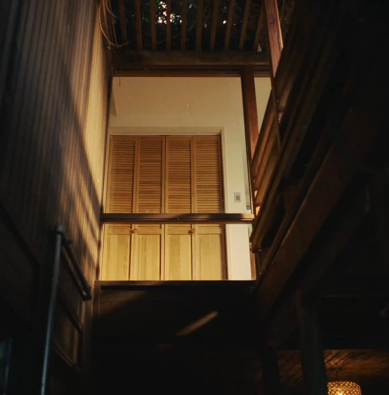 Croissance de l'intelligence