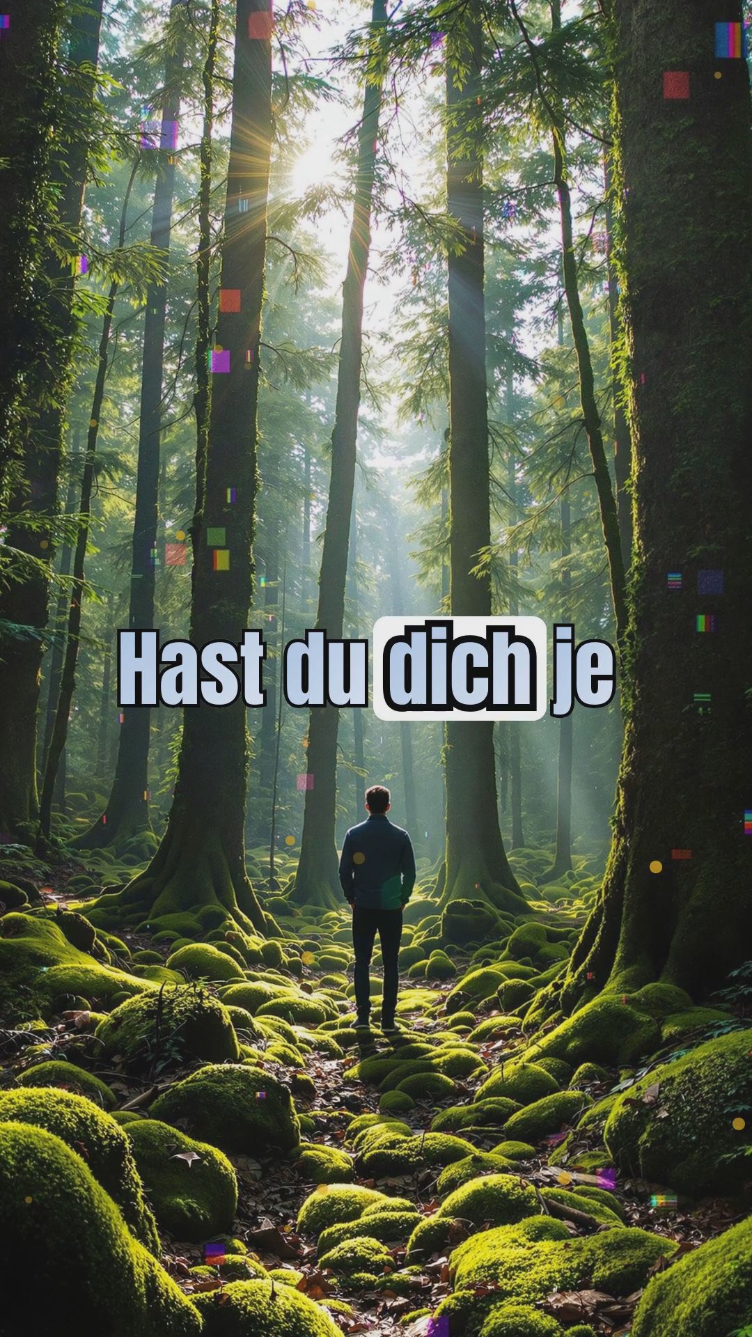 Waldbaden: Wie der Wald deinen Stress heilt