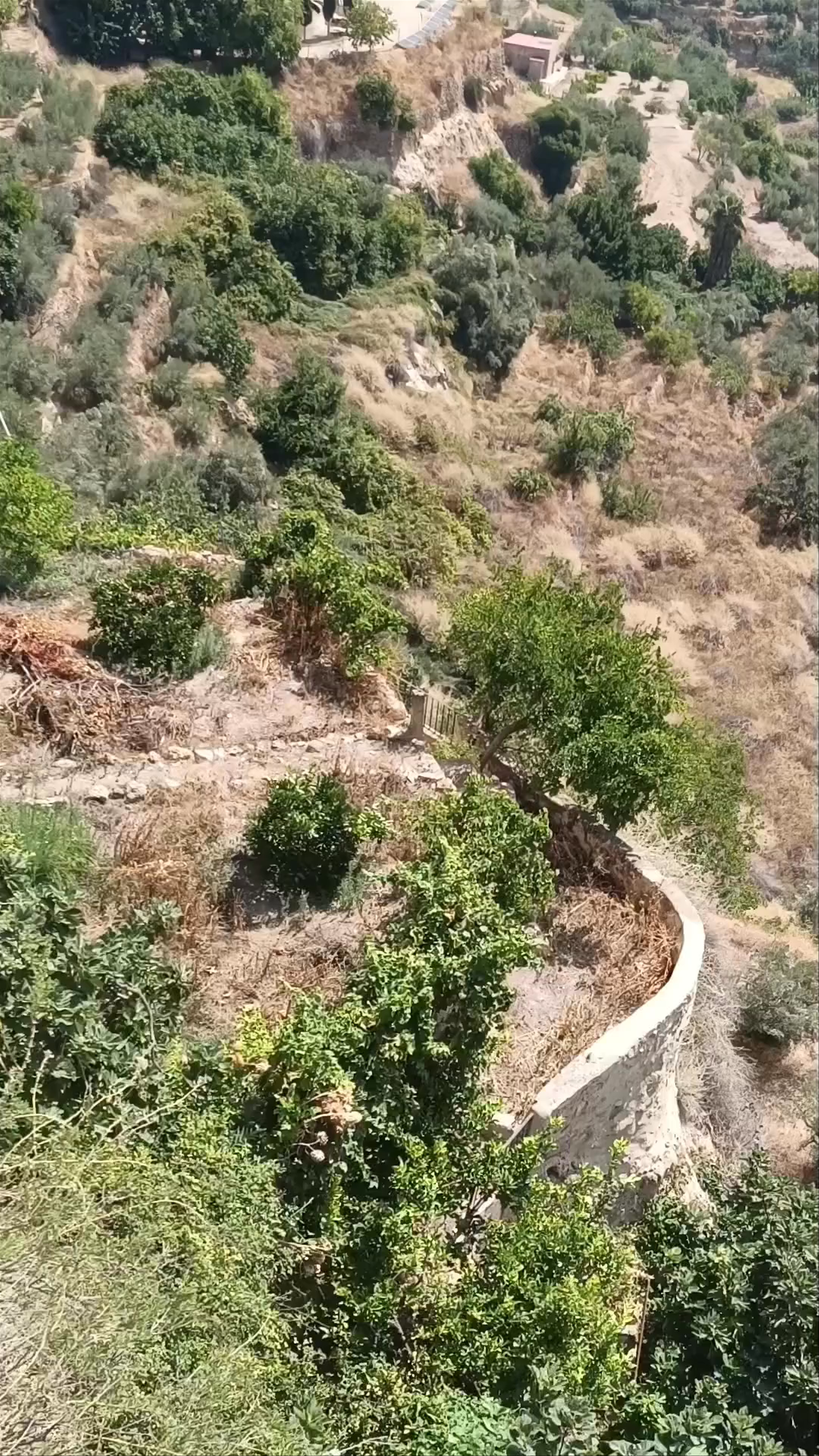 Mirador plaza del Conde
