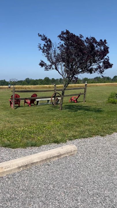 Cervenka Farm - Beautiful day for the farm stand - Fruits & Veggies Near Me - Flemington, New Jersey