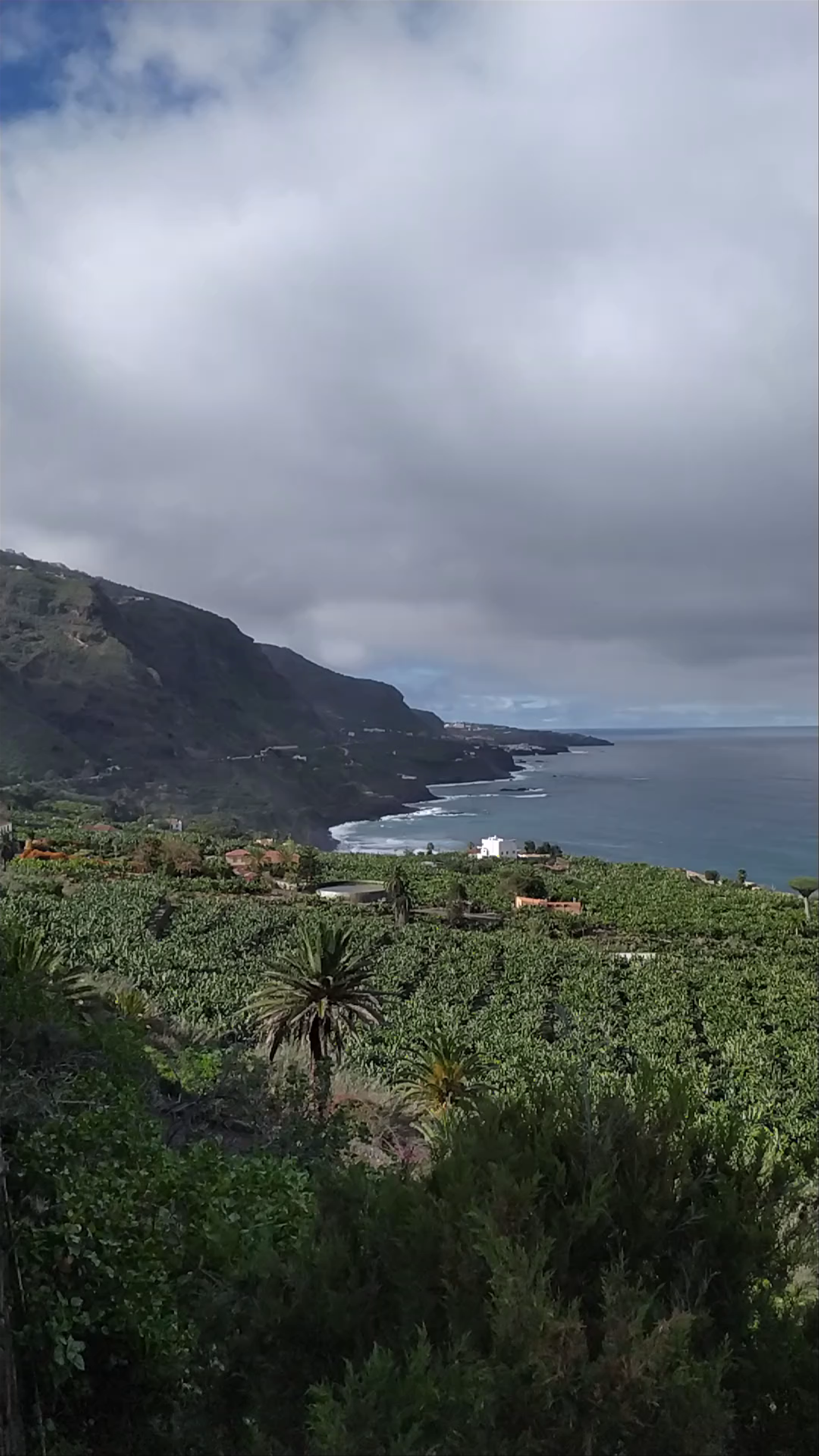 Scenic Coastal Views at Paisaje Protegido de Rambla de Castro, Los Realejos