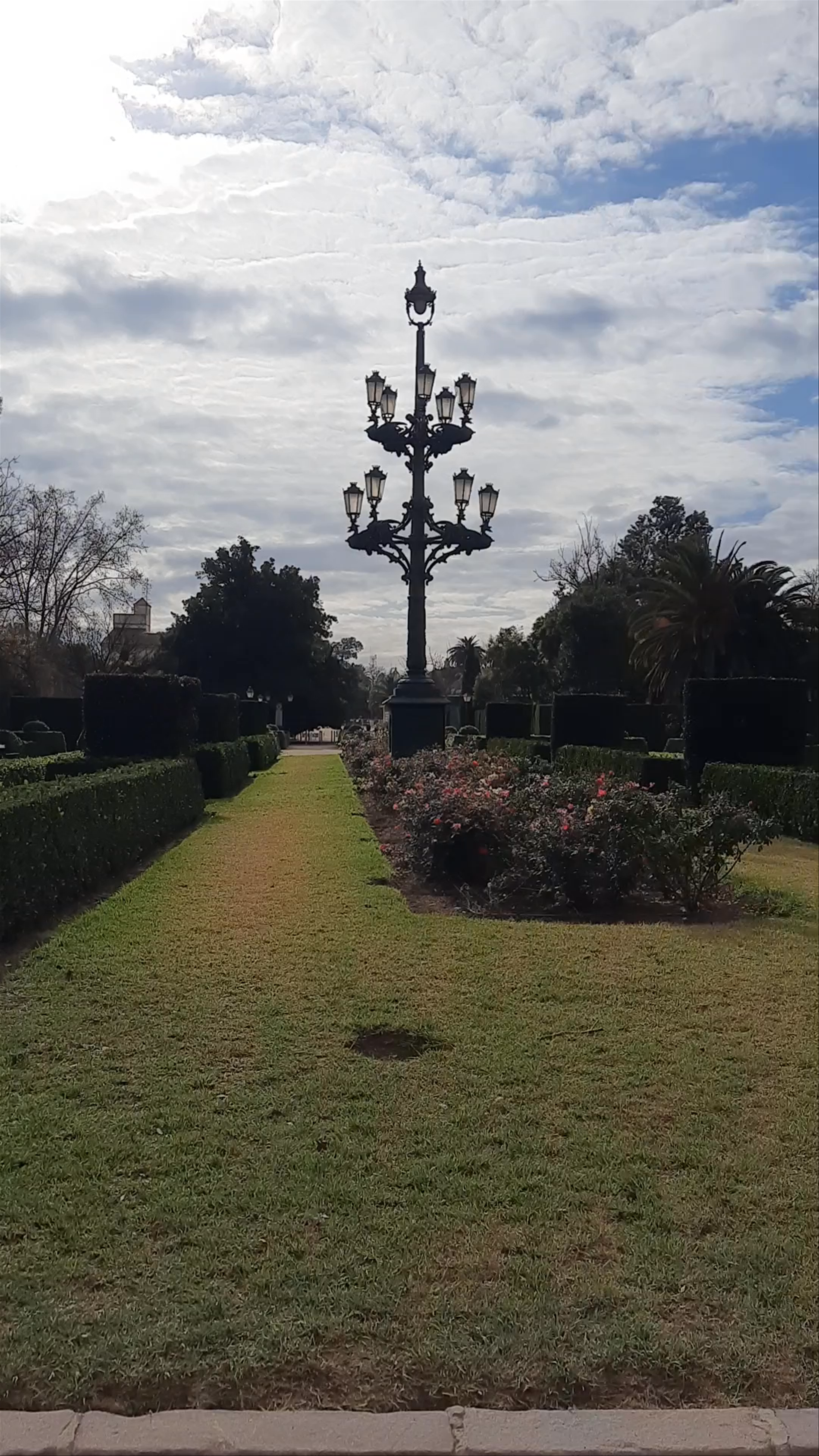 Serene Stroll Through Jardines del Real o Viveros in Valencia