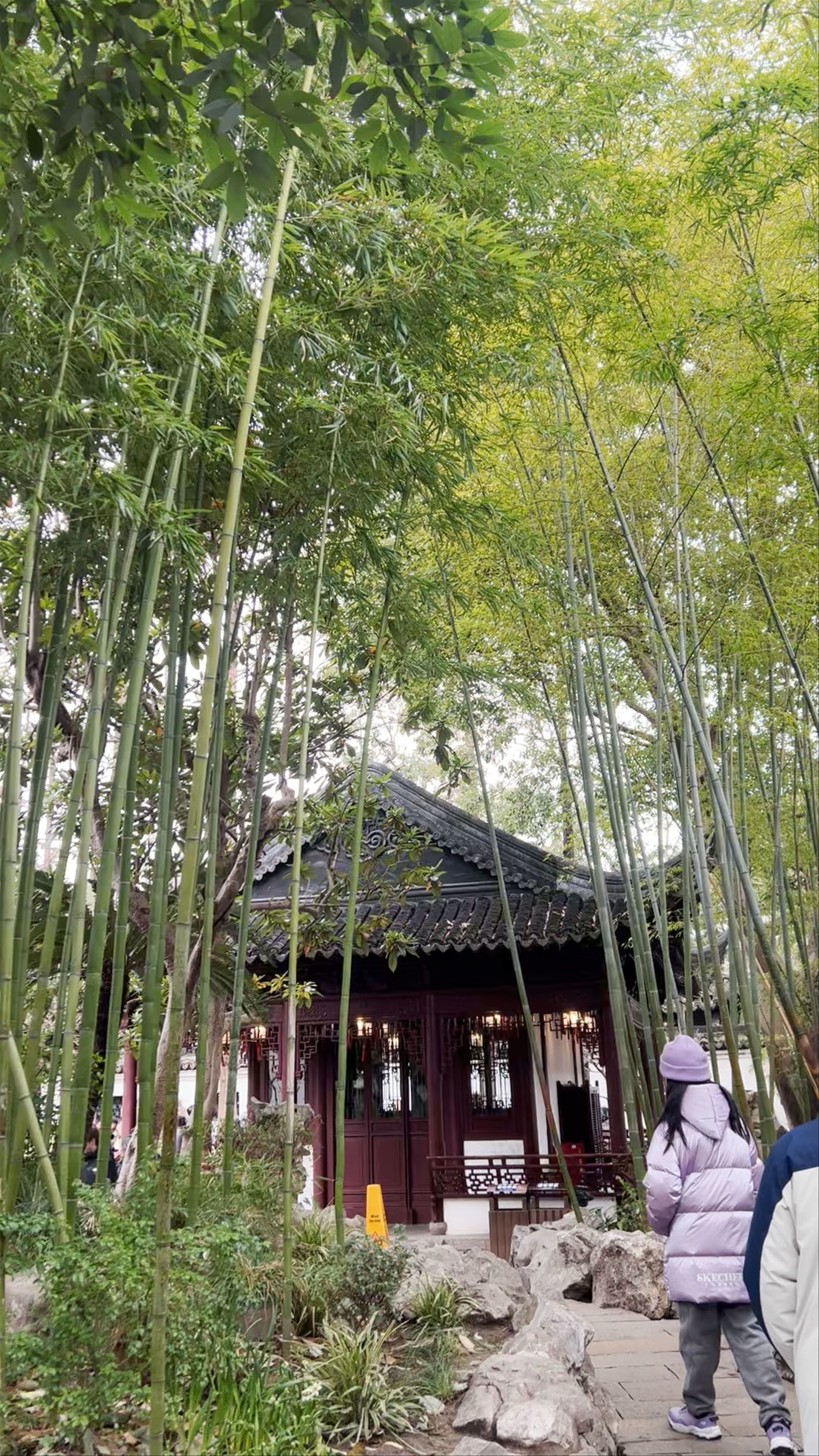 Yu Garden Serenity: Explore Classic Chinese Garden Beauty in Shanghai