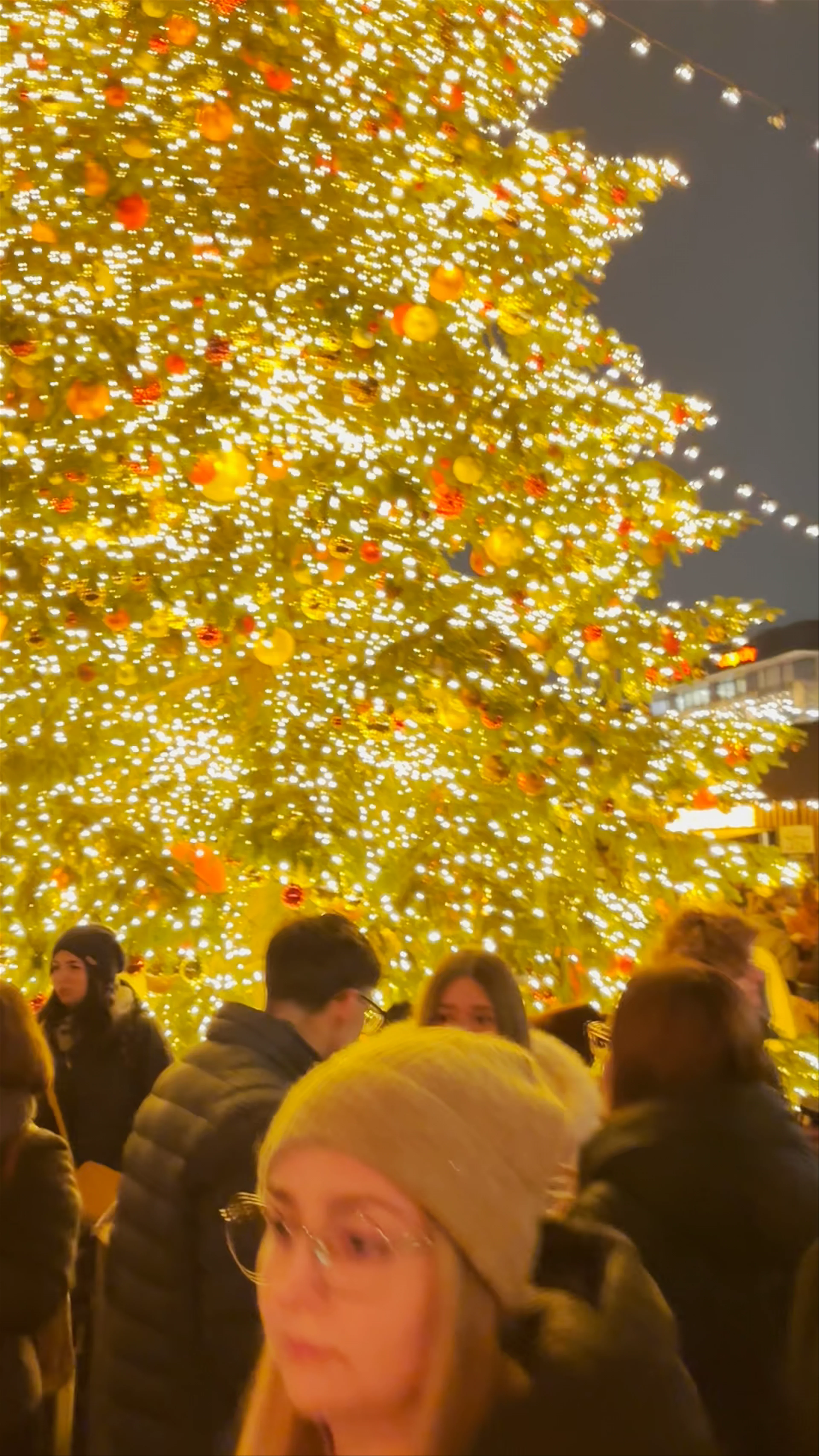 Zürcher Wienachtsdorf, Sechseläutenplatz, Zürich, Switzerland