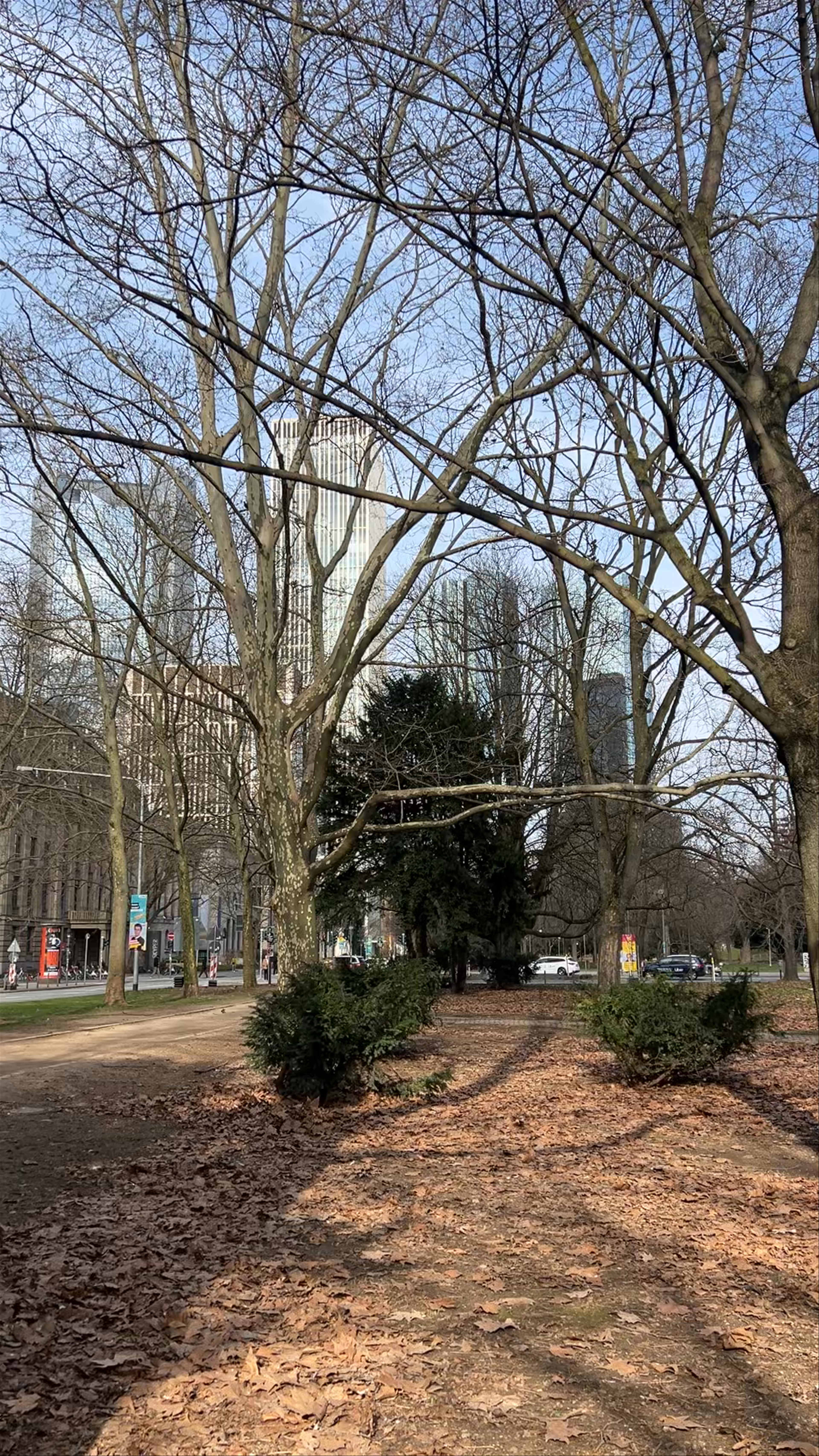 Winter Serenity at Gallusanlage Park, Frankfurt am Main