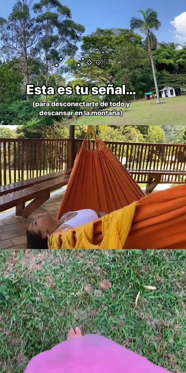 Contenido del creador