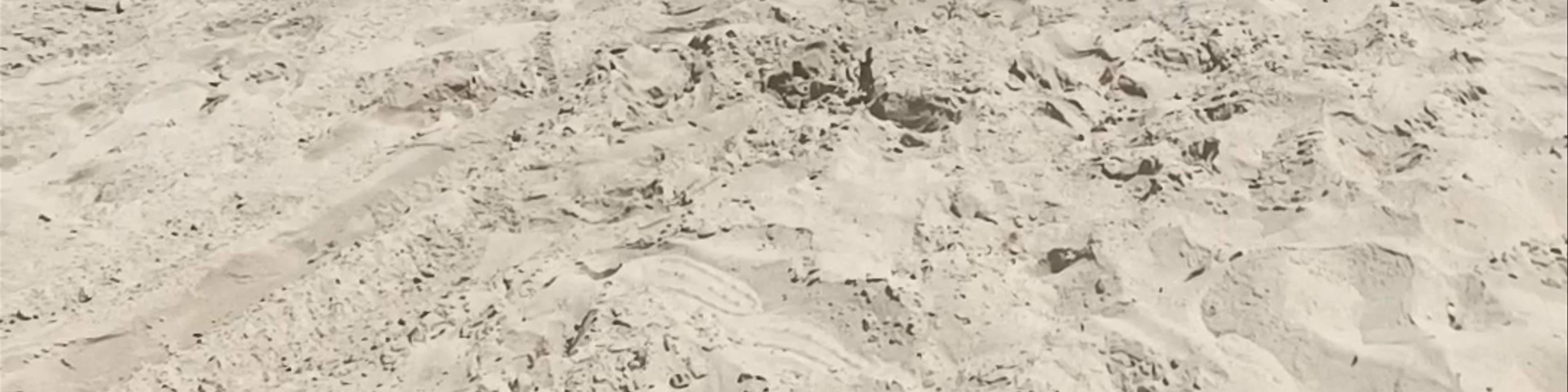 Playa Cala Mosca