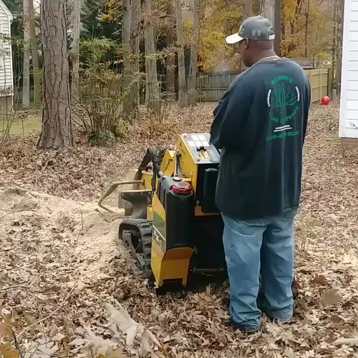 Green's Tree Service - Stump grinding, tree climbing! #allinadayswork - Tree Services Near Me