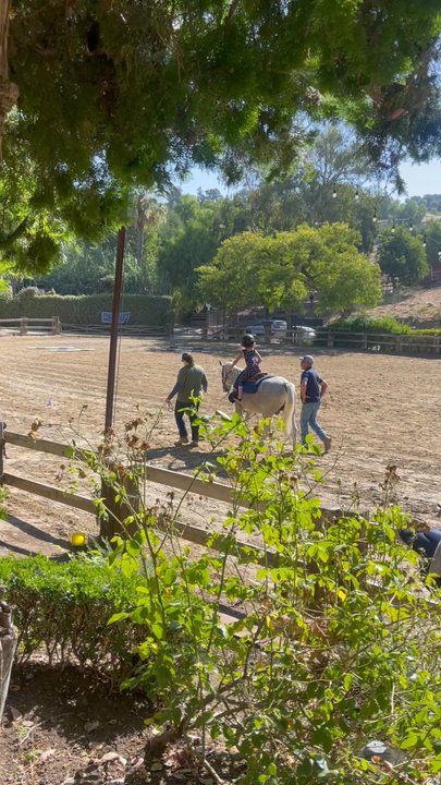 Silver Inspiration Ranch - Therapeutic riding class at Shadow Hills Equestrian Center - Horse Boarding Near Me - Shadow Hills, California
