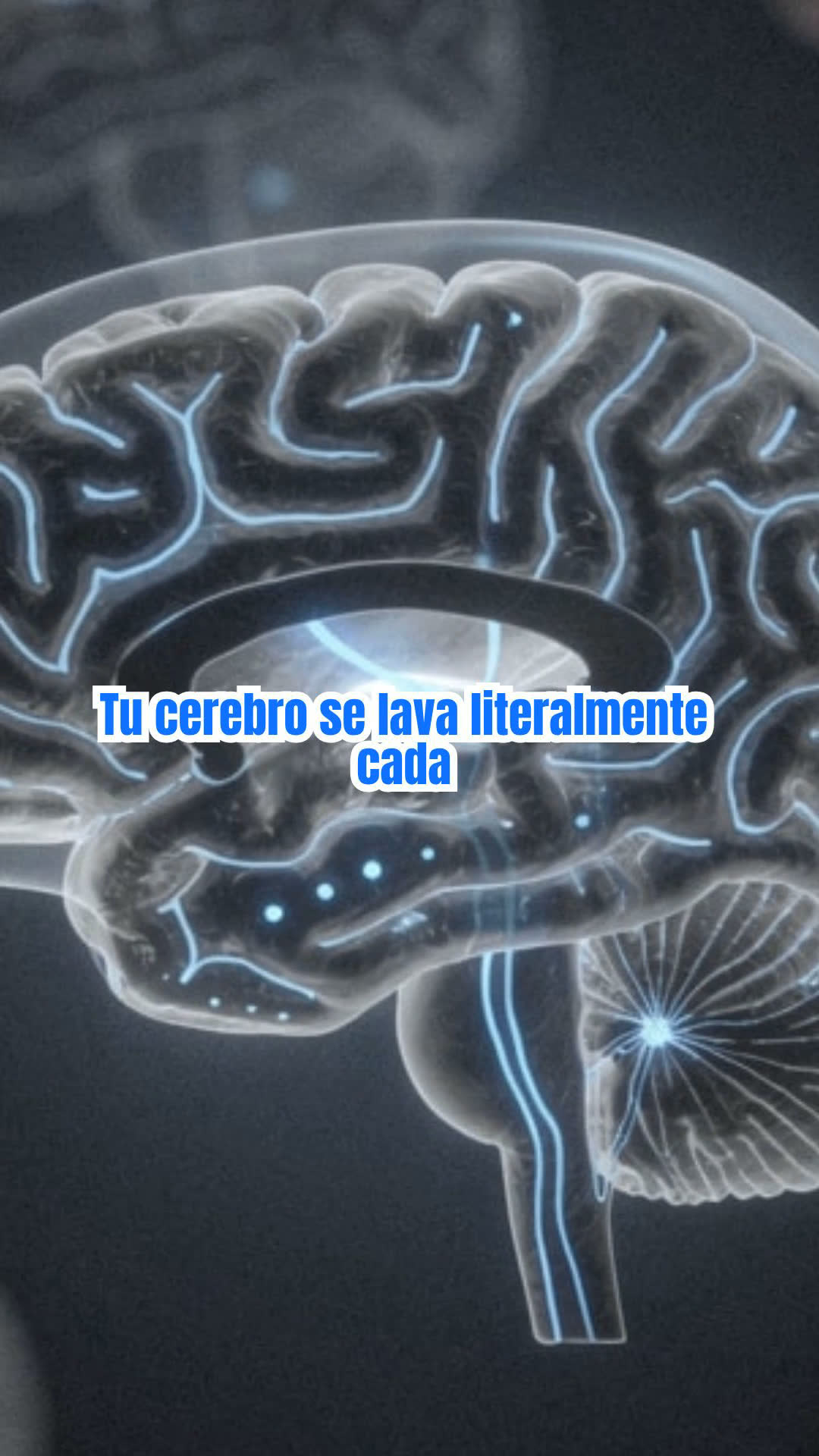5 Secretos Biológicos del Sueño Profundo
