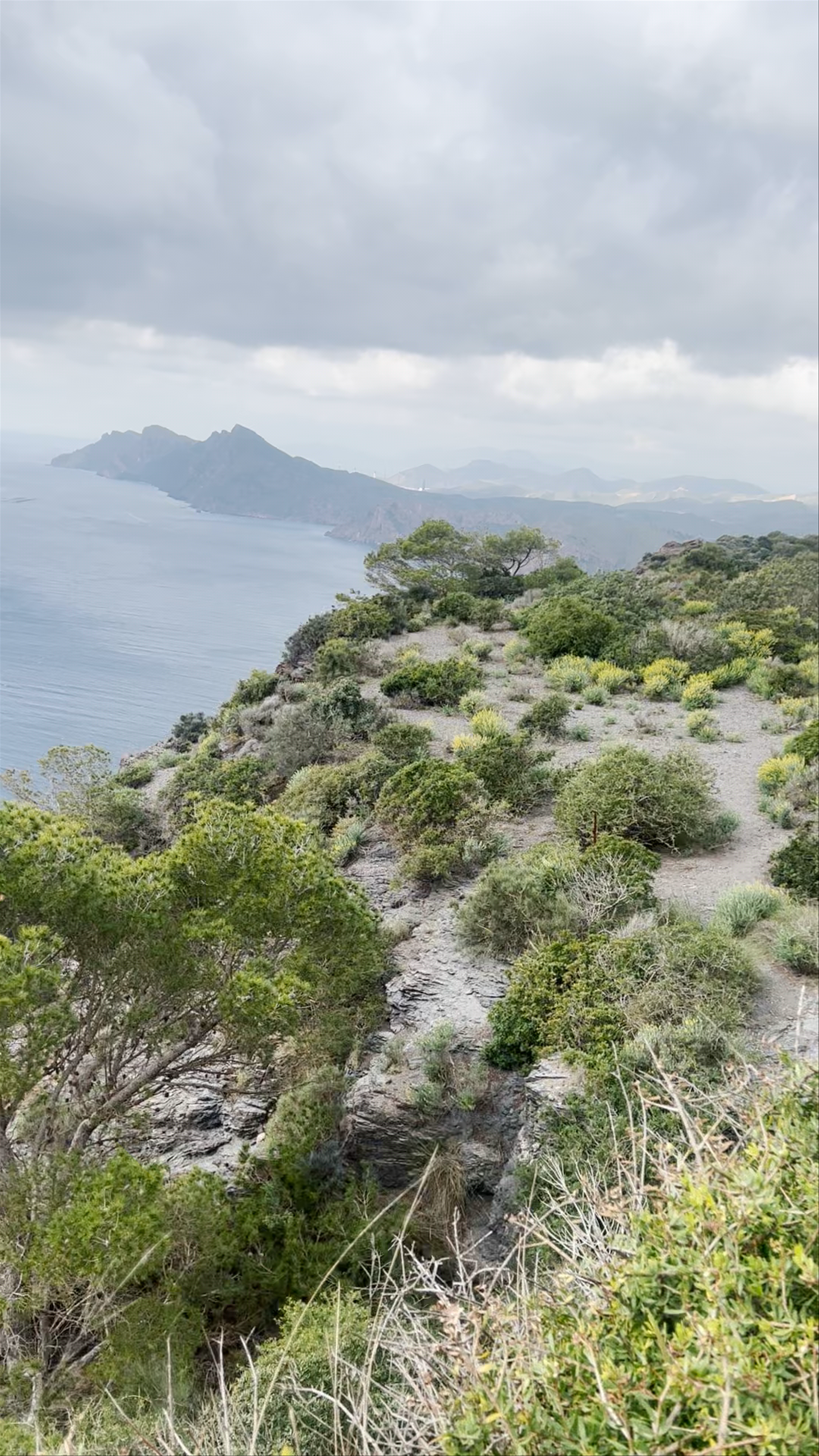 Mirador del monte de las Cenizas