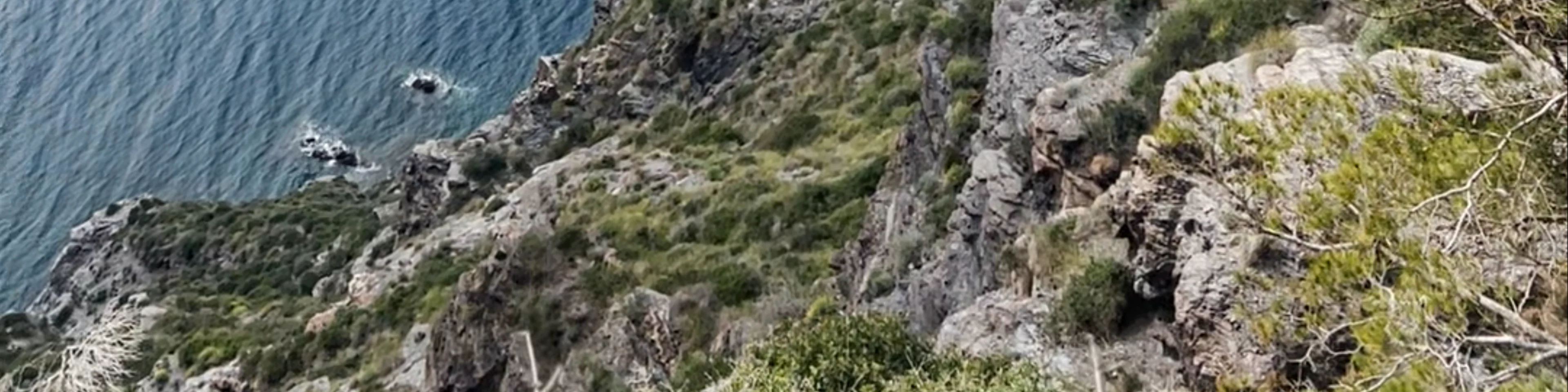Mirador del monte de las Cenizas