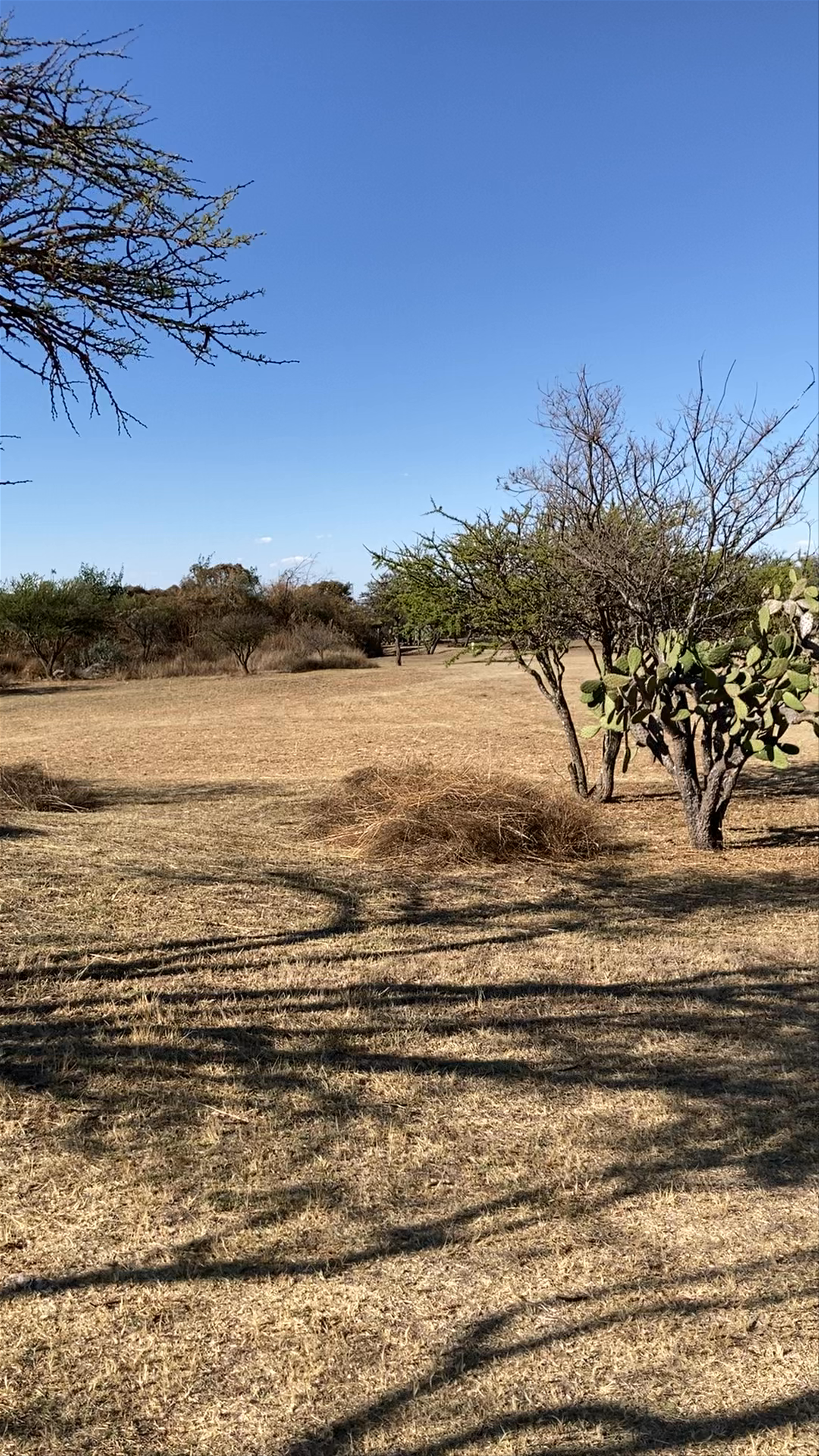Zona Arqueológica Cañada de la Virgen